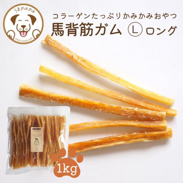 犬 ガム 長持ち 馬背筋ガム 長め Lサイズ 大容量 1kg お試し 無添加 おやつ うまかみかみ ...