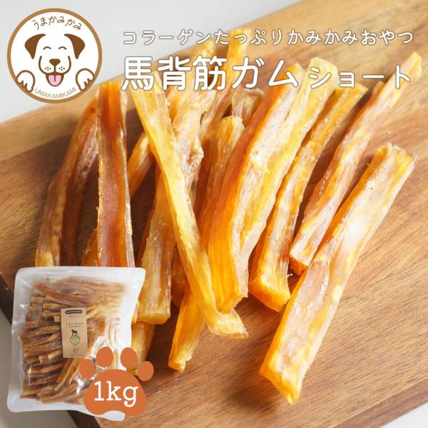 犬 ガム 長持ち 馬背筋ガム 短め Sサイズ 大容量 1kg 無添加 おやつ うまかみかみ (26....