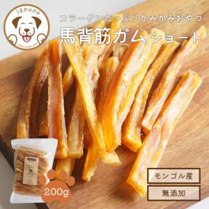 2袋SET アニミューン 14g : OSK store - 通販 - Yahoo!ショッピング