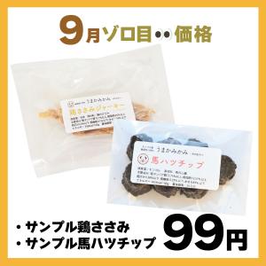 犬 おやつ 無添加 お試し サンプル2点セット(鶏ささみジャーキーと馬ハツチップ)