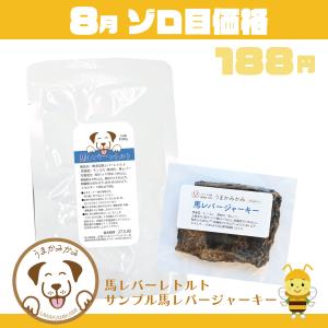 犬 おやつ 無添加 お試し 馬 お試しレバー2種セット 馬レバーレトルトとサンプルレバージャーキー[ゾロ目価格]