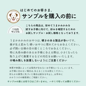 犬 おやつ お試し うまかみかみ 馬肉ジャーキ...の詳細画像1