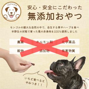 犬 おやつ お試し うまかみかみ 馬肉ジャーキ...の詳細画像3