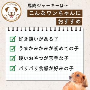 犬 おやつ お試し うまかみかみ 馬肉ジャーキ...の詳細画像4