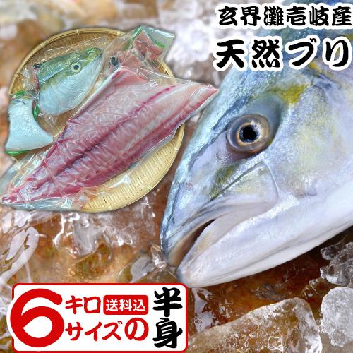 天然ブリ お刺身用 お造り 天然 壱岐 6キロ皮付フィーレ(半身) カマ・アラ・頭付 送料込（北海道...