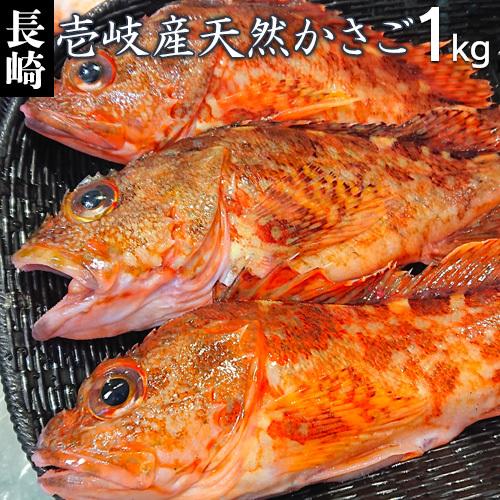 沖縄 食べられない魚