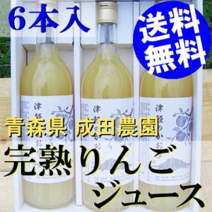 アンドレアス・ツェッペ ヘルシュケーファー（クワガタ）2021 ANDREAS