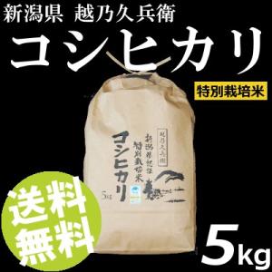 令和7年産新米 お米 5kg 白米 コシヒカリ 新潟県産 精白米 特別栽培米 安中農園 越乃久兵衛 ...