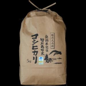 お米 5kg 白米 コシヒカリ 新潟県産 精白米...の商品画像