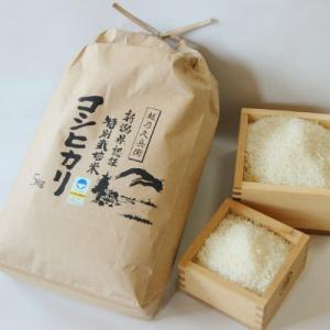 お米 5kg 白米 コシヒカリ 新潟県産 精白...の詳細画像1