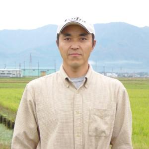 お米 5kg 白米 コシヒカリ 新潟県産 精白...の詳細画像2