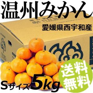 温州みかん 5kg Sサイズ 愛媛県西宇和産 年末年始 お正月 送料無料 贈答品 お取り寄せ