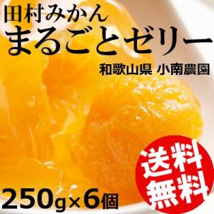 ゼリー フルーツ 田村みかん まるごと 6個 小南農園 和歌山県 6個 送料無料 贈答品 お取り寄せ｜umakore