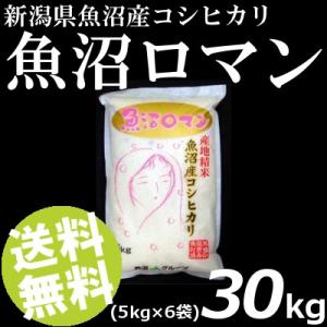 お米 30kg 白米 コシヒカリ 魚沼ロマン 新...の商品画像