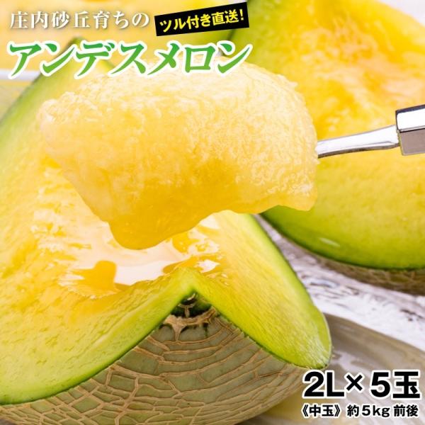 お中元 ご贈答用！メロン アンデスメロン中玉《秀品》２Ｌ×５玉（約５kg前後) プレゼントに最適！【...