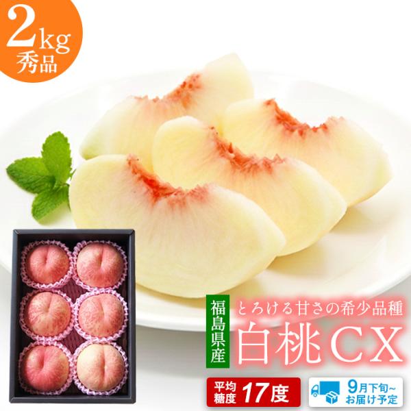 桃 もも モモ 白桃 福島県産 CX（シーエックス）白桃 秀品  約２kg(約６〜８玉)【送料無料】...