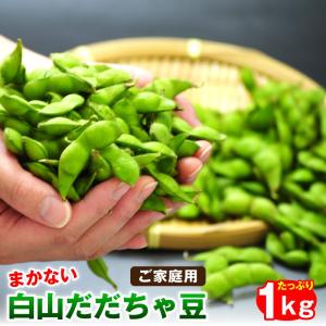 枝豆 白山だだちゃ豆 １ｋｇ  ご家庭用 まかない 訳あり 山形県鶴岡市産 枝豆 えだまめ まめ、マメ 夏ギフト 冷蔵便使用　送料無料