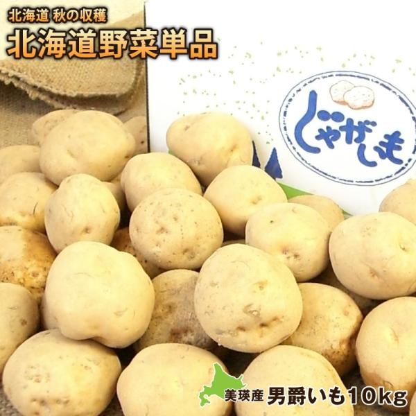 新ジャガイモ 男爵芋約１０ｋｇ（Ｍ〜２Ｌサイズ）北海道美瑛産 減農薬栽培 じゃがいも ジャガイモ 芋...