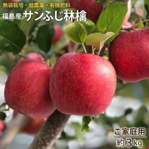 リンゴ りんご サンふじ ふじ 林檎 福島産 サンふじ林檎 ご家庭用約３kg(７〜１１玉）【送料無料】｜umakou