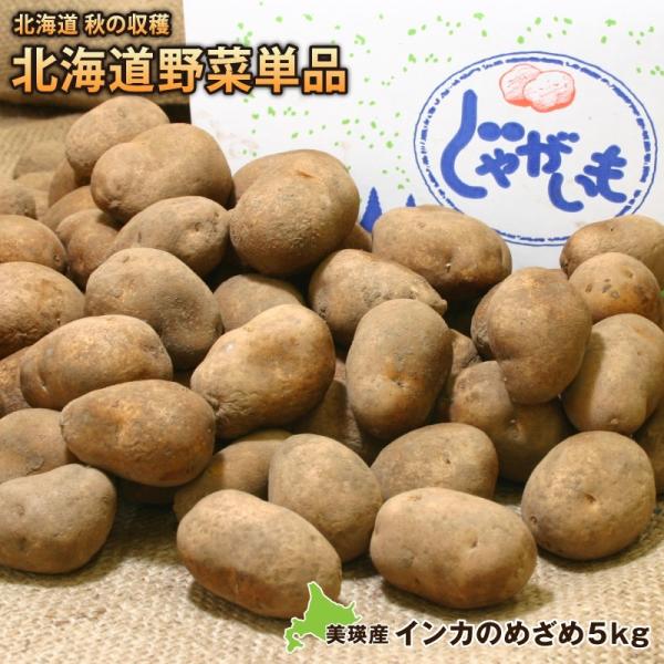 新ジャガイモ インカのめざめ約５ｋｇ（２Ｓ〜２Ｌ） 北海道美瑛産 減農薬栽培 美瑛より直送 インカ ...