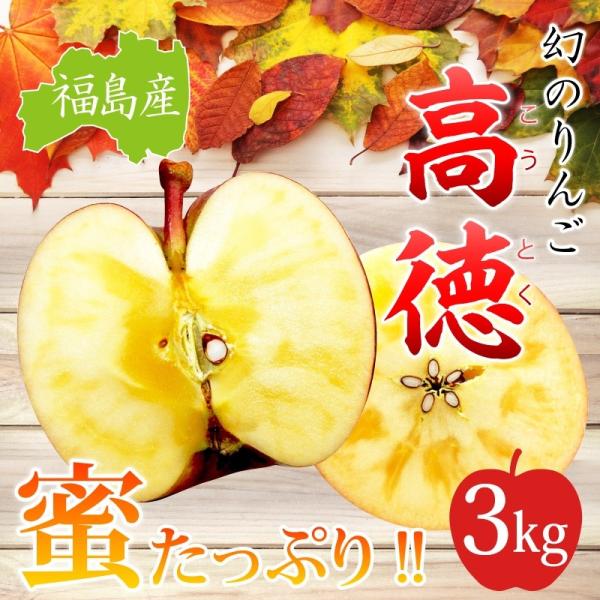 ご贈答用 福島産 高徳りんご３kg（10〜14玉）【送料無料】 ※ご贈答 こうとく 林檎 リンゴ り...