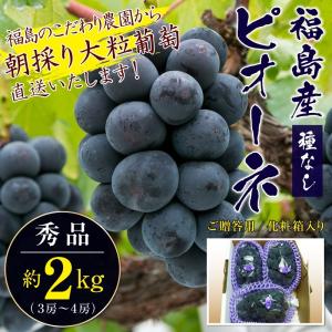 種無しピオーネ秀品 約２kg（３房〜４房）送料無料 福島産 ご贈答用品質/化粧箱入り 1房約500g〜700g前後　※葡萄、ぶどう、ブドウ