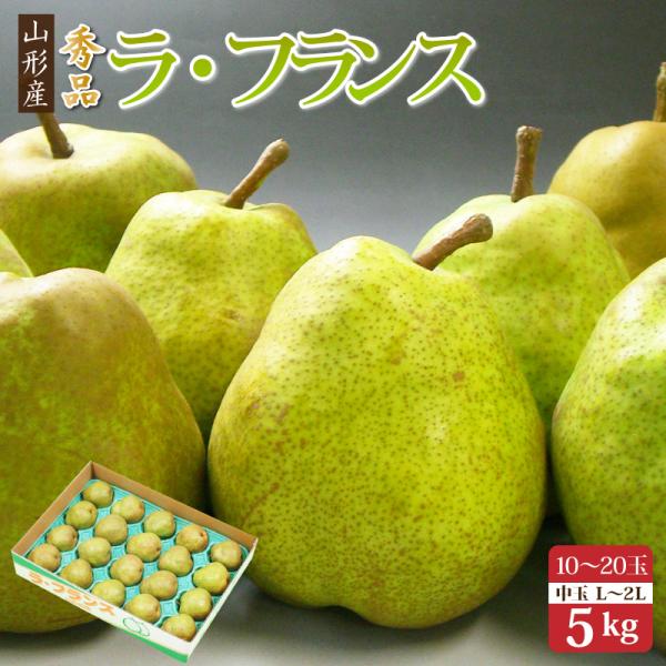 ご贈答にお歳暮に！ 山形産ラ・フランス 約5kg（中玉10〜20玉）産地箱【送料無料】ラフランス お...