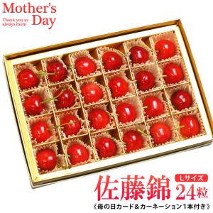 母の日ギフト 山形県東根産 佐藤錦 さくらんぼ 24粒 秀品L玉 カーネーション +母の日カード付 手詰め 産地直送 サクランボ 果物 高級 贈答用 「爆買」「母の日」