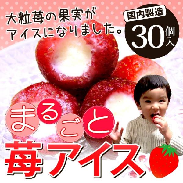 ご贈答に！  いちご 苺 イチゴ まるごと苺アイス 30粒 大粒の果実がまるごとアイスに♪【送料無料...