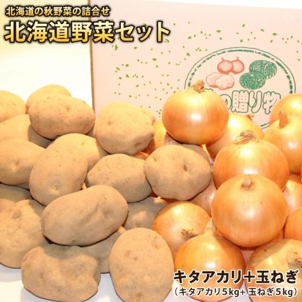 新じゃがいも＋新玉ねぎ 北海道産 キタアカリ＋玉ねぎ（各約５kg）計約１０kg ２点セット※減農薬栽...
