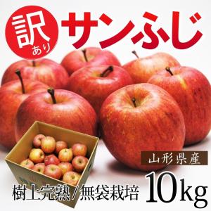 りんご サンふじ リンゴ ふじ フジ 産直 訳あり 山形県産 樹上完熟サンふじ林檎 約１０kg バラ詰め   加工用 業務用 ご家庭用 送料無料｜umakou