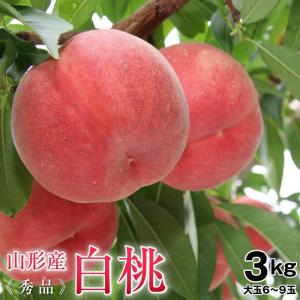 桃 白桃 山形県産白桃約３kg秀品（6〜9玉前後）大玉 送料無料 もも 白桃 モモ