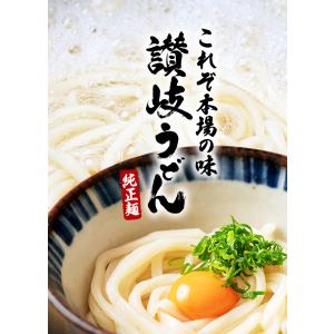 讃岐 生 うどん 9食 (麺300g×3袋) ...の詳細画像1