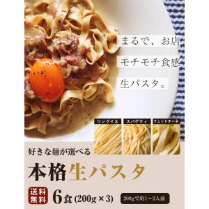 麺が選べる 生パスタ 6食 (麺200g×3袋...の詳細画像1