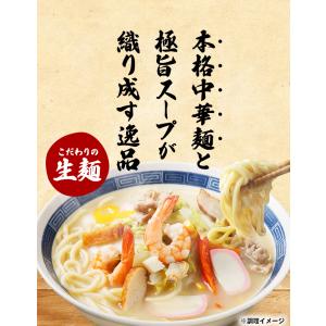 長崎 ちゃんぽん 生麺 6人前 スープ付き 送...の詳細画像1