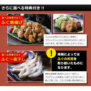 とらふぐ刺身 天然 ふぐ鍋 セット 4-5人前...の詳細画像4