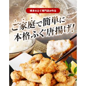 天然 ふぐ唐揚げ セット 1.2kg ふぐ ギ...の詳細画像1