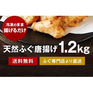 天然 ふぐ唐揚げ セット 1.2kg ふぐ ギ...の詳細画像2