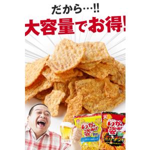 いかの姿揚げ 訳あり プレーン お徳用 おつま...の詳細画像4