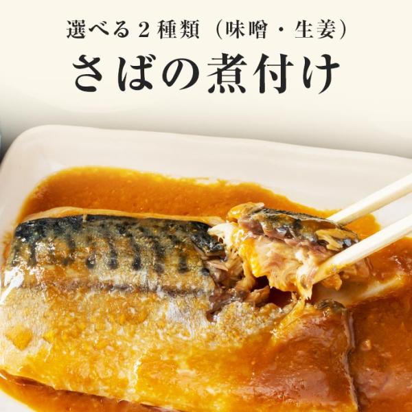 選べる あじ いわし さばの煮付け 10切 1袋 400g 送料無料 さば 鯖 サバ イワシ 魚 鯖...