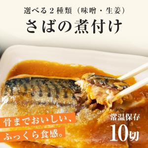 選べる あじ いわし さばの煮付け 10切 1...の詳細画像1
