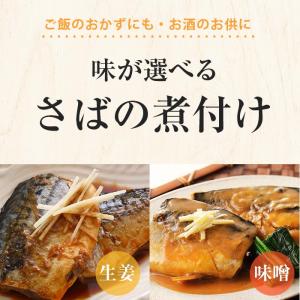 選べる あじ いわし さばの煮付け 10切 1...の詳細画像4
