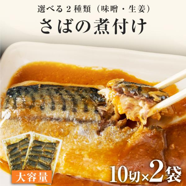 選べる あじ いわし さばの煮付け 20切 800g 送料無料 さば 魚 鯖の味噌煮 生姜煮 レトル...