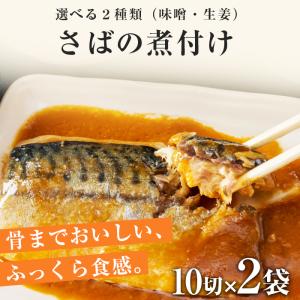 選べる あじ いわし さばの煮付け 20切 8...の詳細画像1