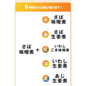 選べる あじ いわし さばの煮付け 20切 8...の詳細画像5