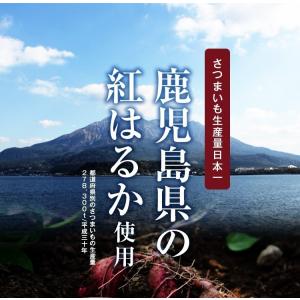 干しいも 紅はるか 110g×4袋 鹿児島産 ...の詳細画像3
