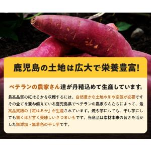 訳あり食品 干し芋 紅はるか 600g 鹿児島...の詳細画像4