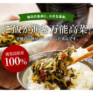 漬物 高菜 お試し 選べる1袋 辛子高菜 高菜...の詳細画像1