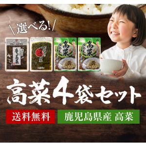 漬物 高菜 選べる4袋 最大600g セット ...の詳細画像2