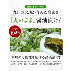 漬物 高菜 高菜漬け 250g×1袋 たかな漬...の詳細画像2